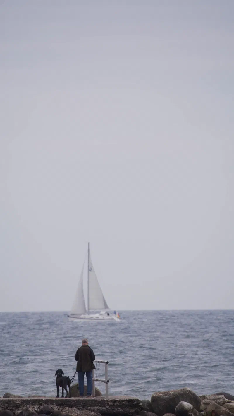 Audi Segeln – Bild 10