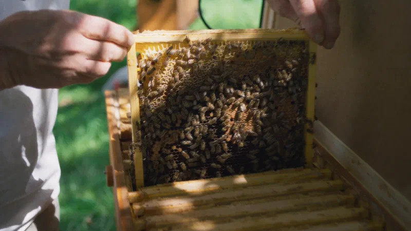 Bad Heilbrunner – Bild 2