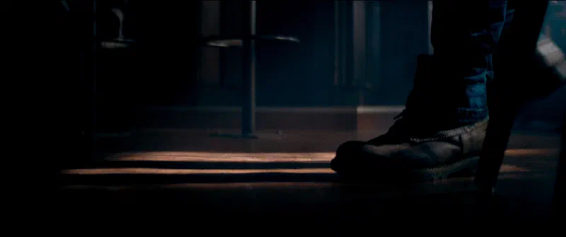 Cambodont – Bild 4